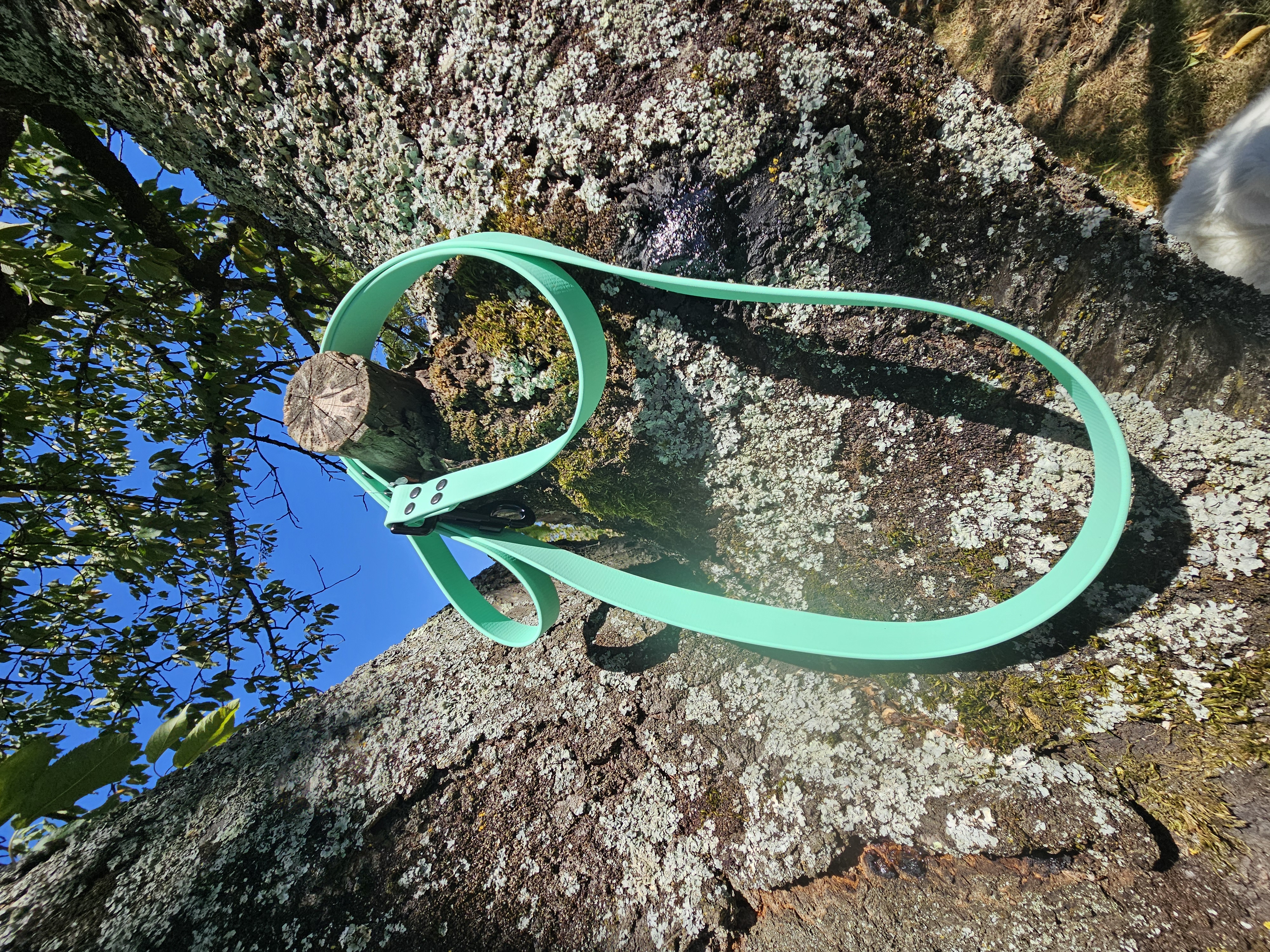 Laisse BioThane® menthe — Signature Animale