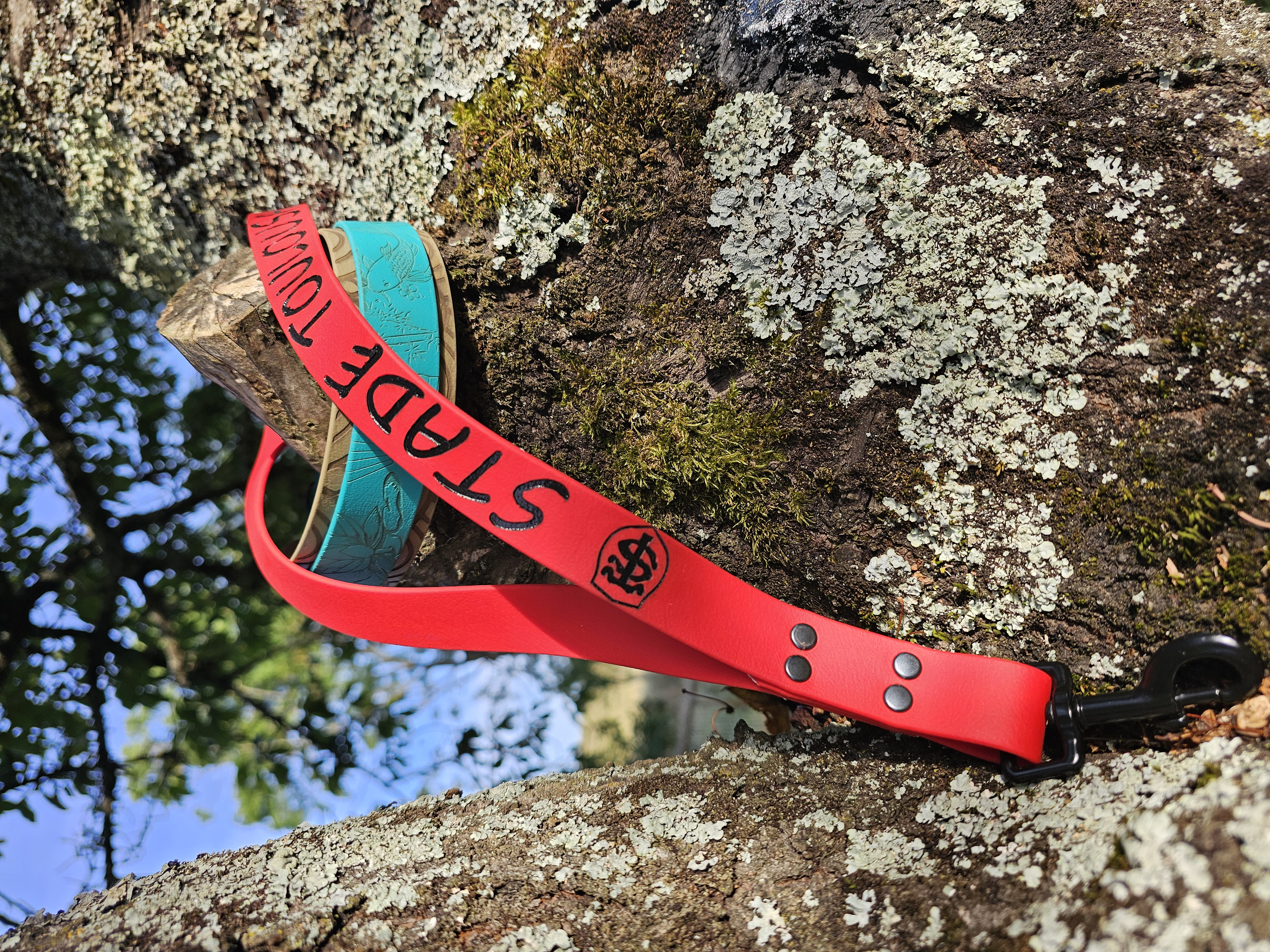 Collier BioThane® bicolore gravé laser personnalisé pour chien — Signature Animale Toulouse
